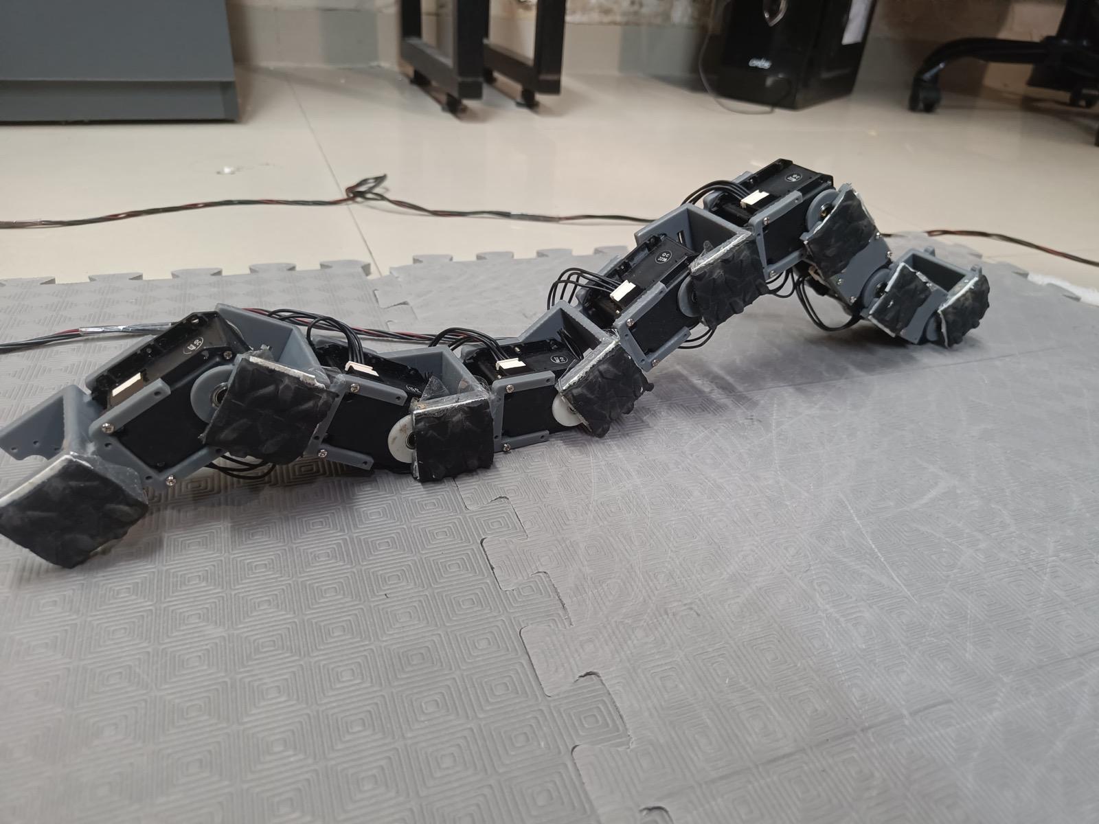 Snake Robot Control System